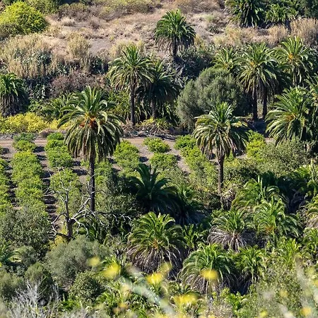 Garden View Iguazu 3 Near Yumbo Apartment Playa del Ingles (Gran Canaria)